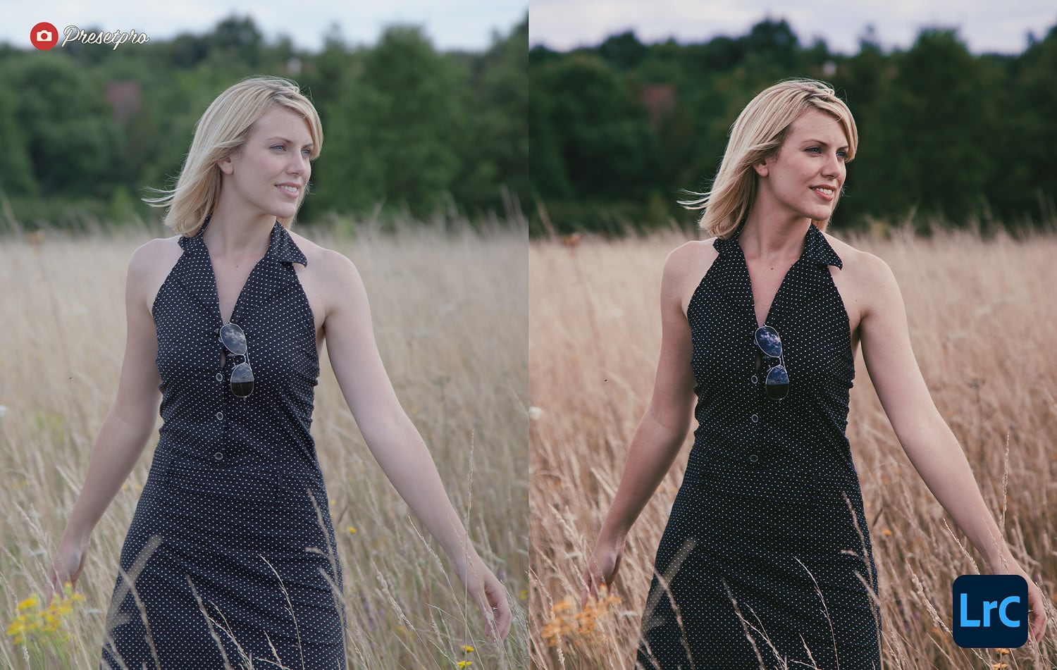 Free Lightroom Preset Filterlook Before and After Presetpro.com