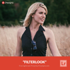 Free Lightroom Preset Filterlook Presetpro.com