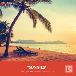 Free Lightroom Preset Sunnies Presetpro.com
