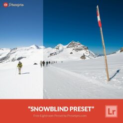 Free-Lightroom-Preset-Snow-Blind-Presetpro