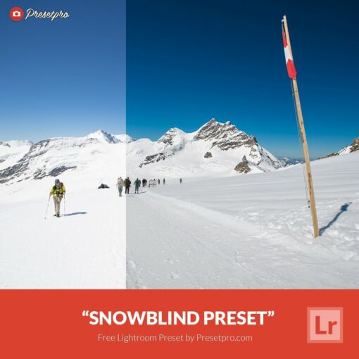 Free-Lightroom-Preset-Snow-Blind-Presetpro