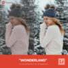 Free Lightroom Preset Wonderland Presetpro.com