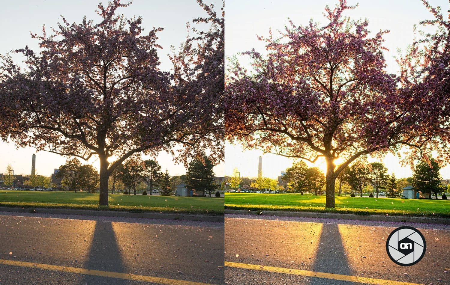 Free-On1-Preset-Bright-Sun-Before-and-After