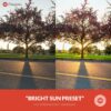 Free On1 Preset Bright Sun