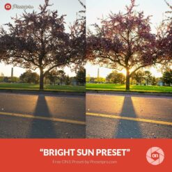 Free On1 Preset Bright Sun