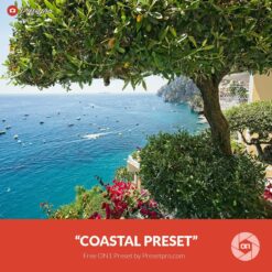 Free-On1-Preset-Coastal