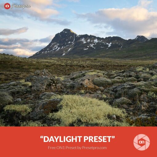 Free-On1-Preset-Daylight