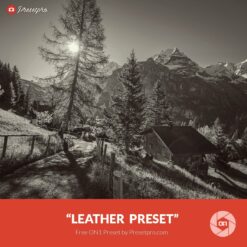 Free-On1-Preset-Leather