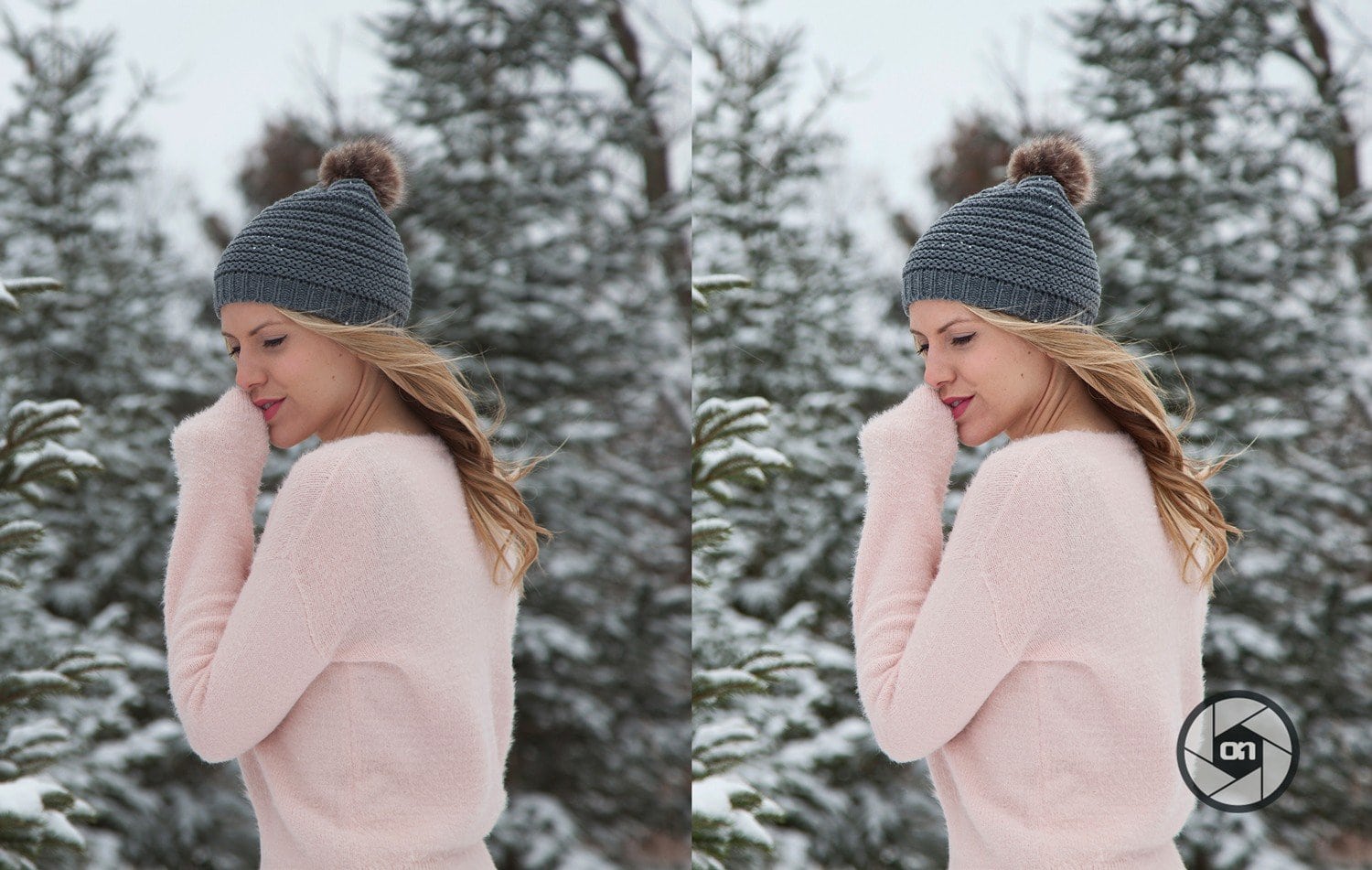 Free-On1-Preset-Winter-Film-Before-and-After