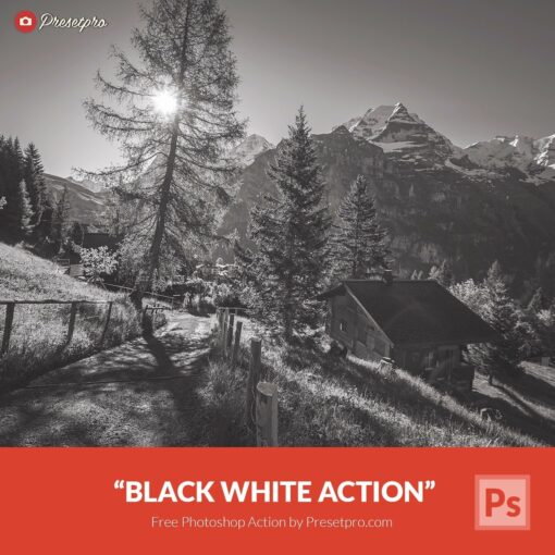 Free Photoshop Action Black White