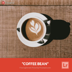 Free Lightroom Preset Coffee Bean Presetpro.com