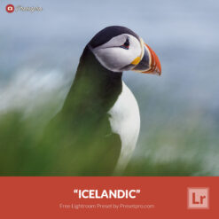 Free Lightroom Preset Icelandic Presetpro.com