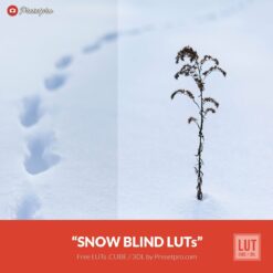 Free-Color-Lookup-Table-Snow-Blind-LUTs-CUBE-3DL-Presetpro.com