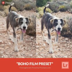 Free-Lightroom-Preset-Boho-Film-Presetpro.com