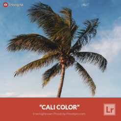 Free Lightroom Preset Cali Color Presetpro.com