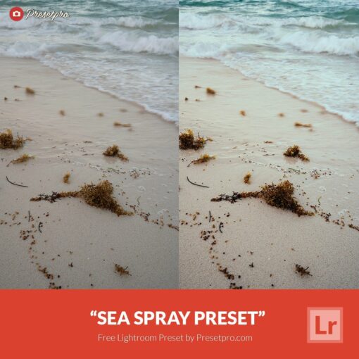 Free-Lightroom-Preset-Sea-Spray-Presetpro.com