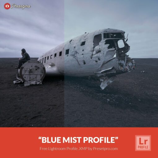 Free-Lightroom-Profile-Blue Mist-Presetpro.com