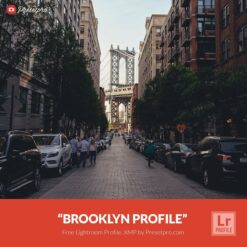 Free-Lightroom-Profile-Brooklyn-Presetpro.com