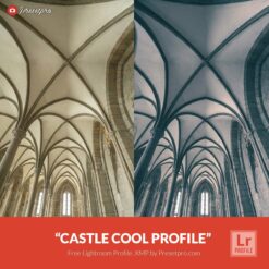 Free-Lightroom-Profile-Castle-Cool-Presetpro.com