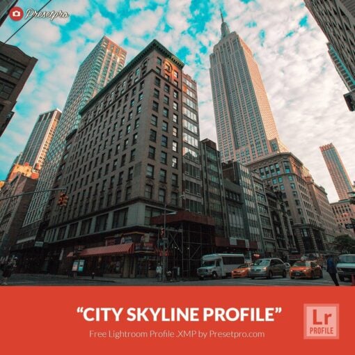 Free-Lightroom-Profile-City-Skyline-Presetpro.com