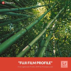 Free-Lightroom-Profile-Fuji-Film-Presetpro.com