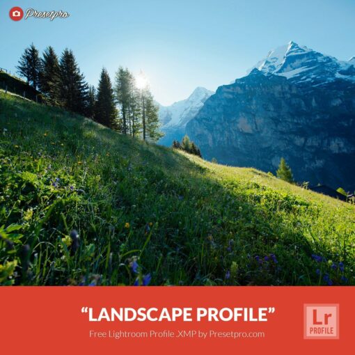 Free-Lightroom-Profile-Landscape-Presetpro.com