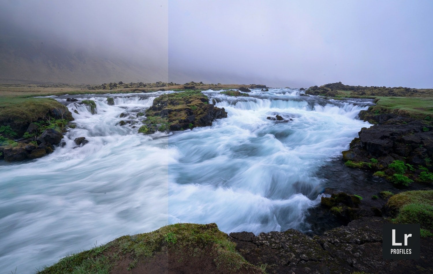 Free-Lightroom-Profile-Lush-Land-Before-After-Presetpro.com