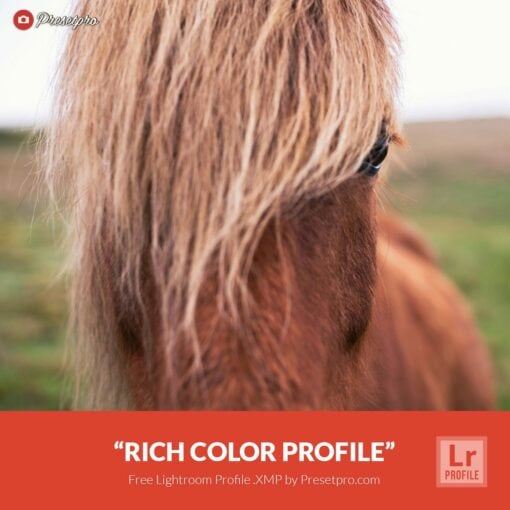 Free-Lightroom-Profile-Rich-Color-Presetpro.com