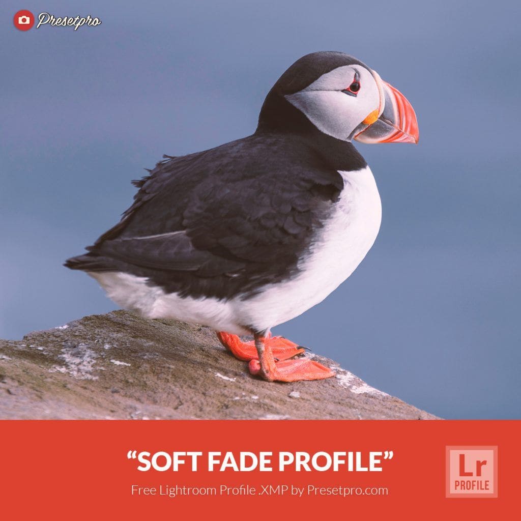 Free-Lightroom-Profile-Soft-Fade-Presetpro.com