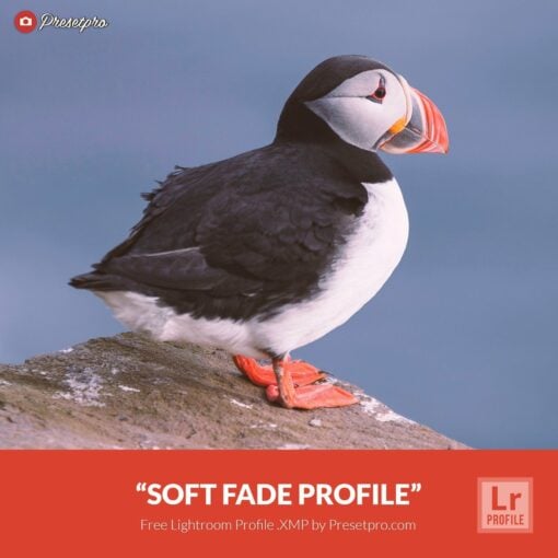 Free-Lightroom-Profile-Soft-Fade-Presetpro.com