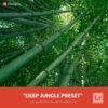 Free-Lightroom-Preset-Deep-Jungle-Presetpro.com