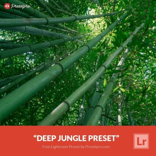 Free-Lightroom-Preset-Deep-Jungle-Presetpro.com