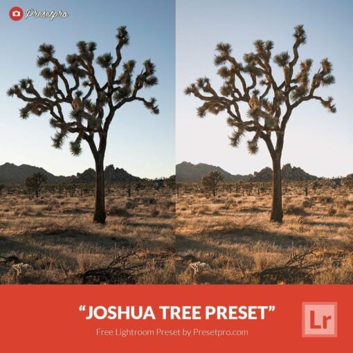 Free-Lightroom-Preset-Joshua-Tree-Presetpro.com