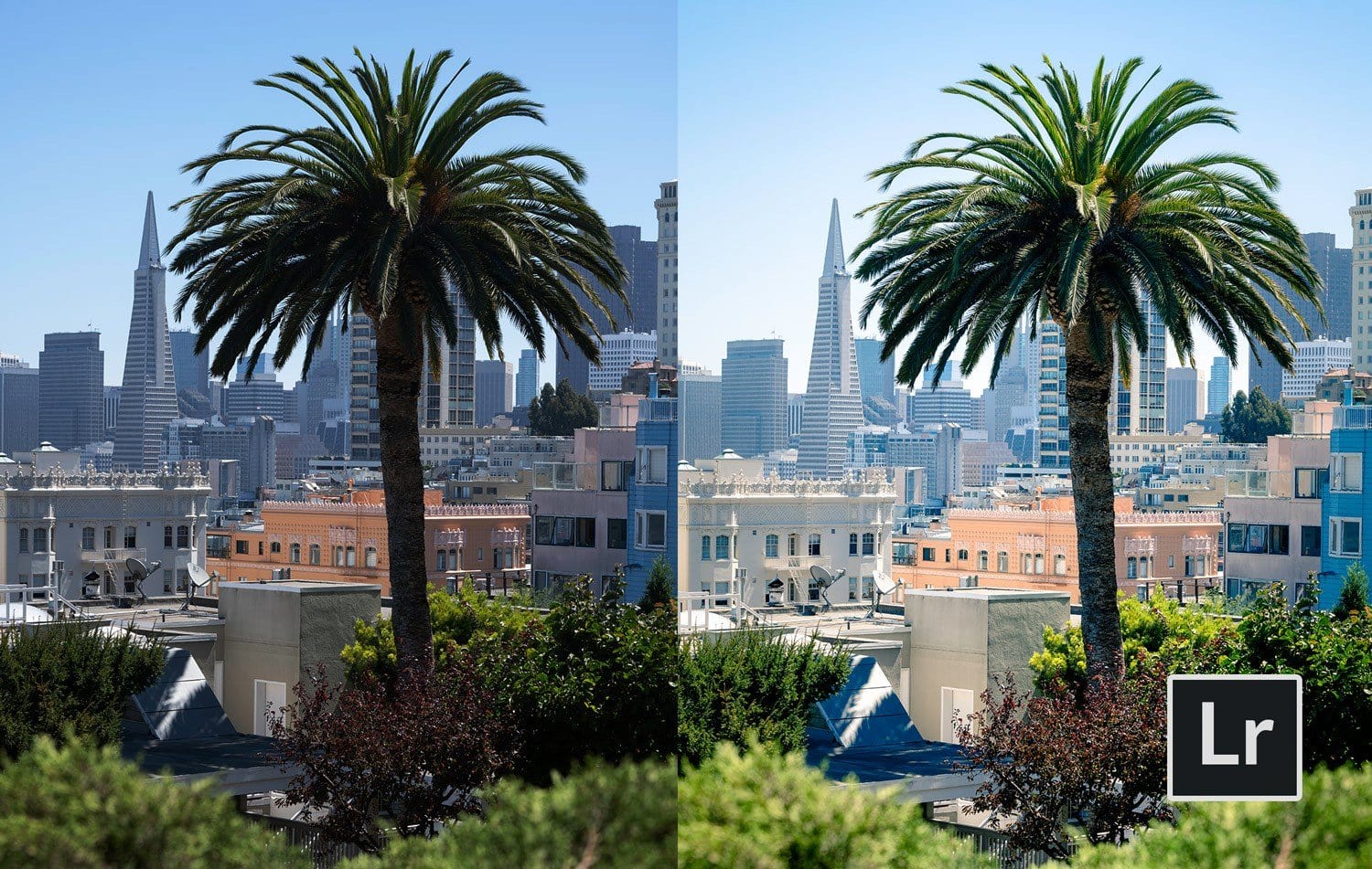 Free-Lightroom-Preset-San-Francisco-Before-and-After-Presetpro.com