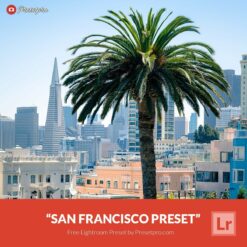 Free-Lightroom-Preset-San-Francisco-Presetpro.com