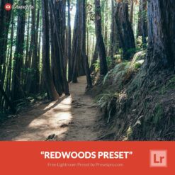 Free-Lightroom-Preset-Redwoods-Presetpro.com