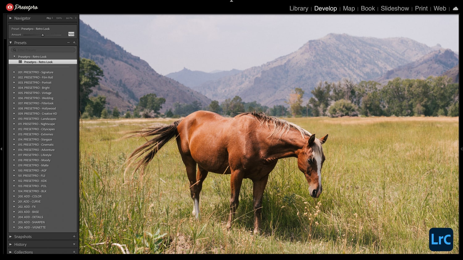 Free Lightroom Preset Retro Look Before and After Presetpro.com