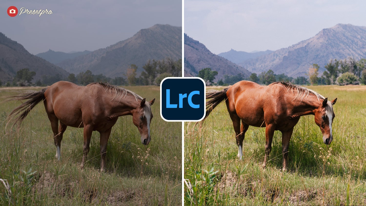 Free Lightroom Preset Retro Look Before and After Presetpro.com