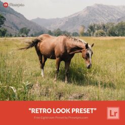 Free-Lightroom-Preset-Retro-Look-Presetpro.com