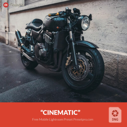 Free Lightroom Mobile DNG Preset Cinematic
