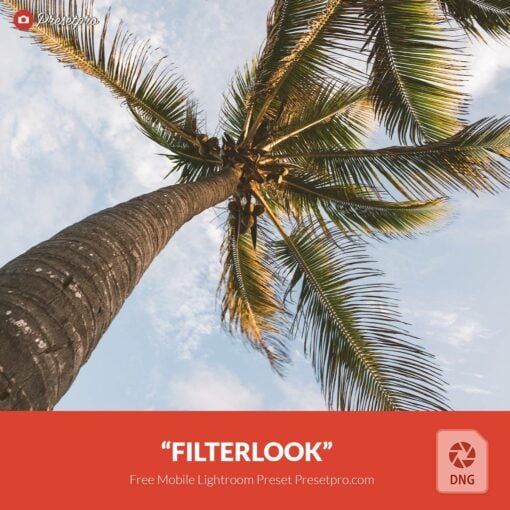 Free Lightroom Mobile DNG Preset Filterlook