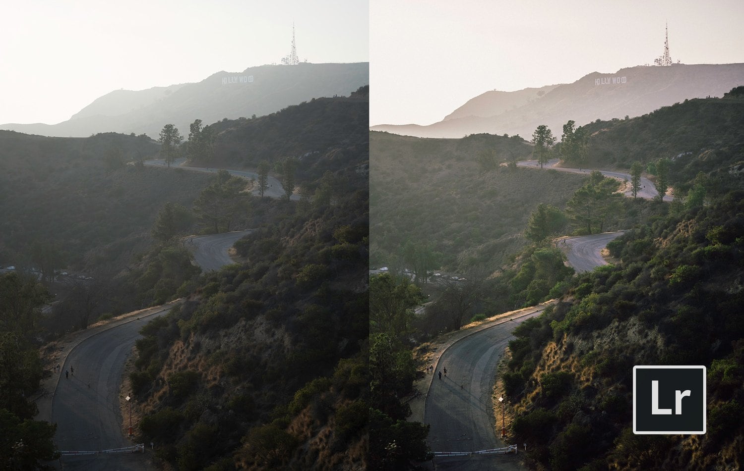 Free-Lightroom-Preset-Dynamic-Film-Before-and-After-Presetpro.com