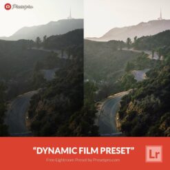 Free-Lightroom-Preset-Dynamic-Film-Presetpro.com