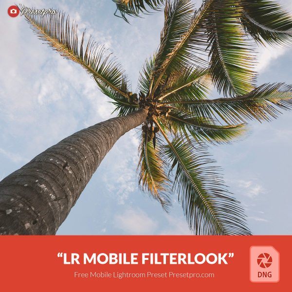 Free-Mobile-DNG- Preset-for-Lightroom-Filterlook