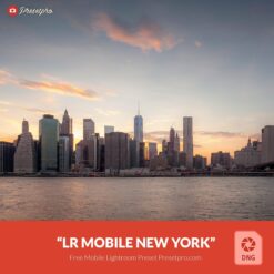 Free-Mobile-DNG-Preset-for-Lightroom-Mobile New York