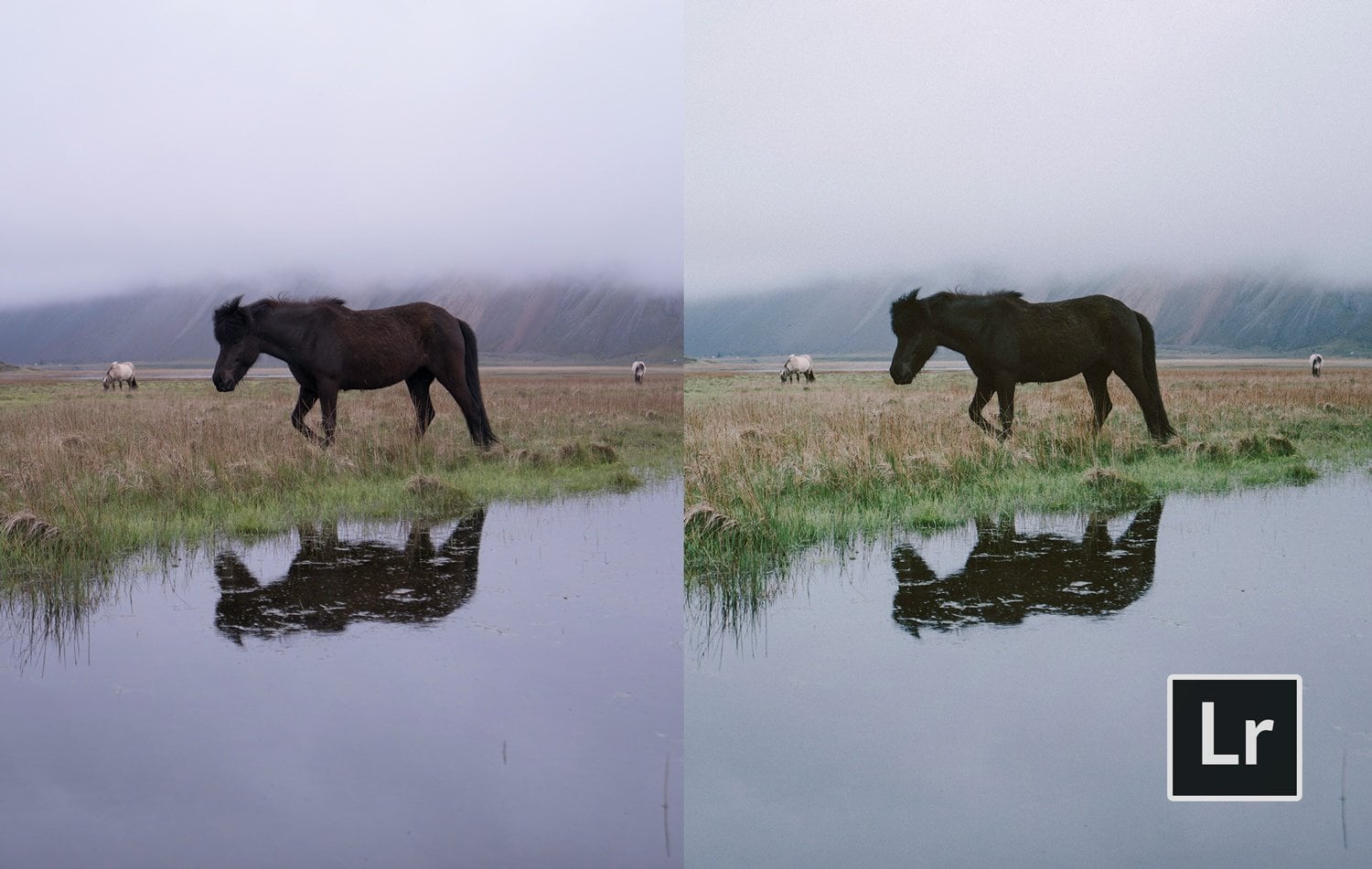 Free-Lightroom-Preset-Fogged-Film-Before-and-After-Presetpro.com