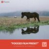 Free-Lightroom-Preset-Fogged-Film-Presetpro.com