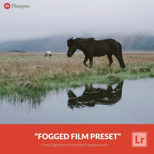 Free-Lightroom-Preset-Fogged-Film-Presetpro.com