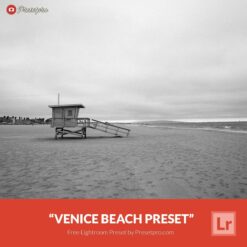 Free-Lightroom-Preset-Venice-Beach-Presetpro.com