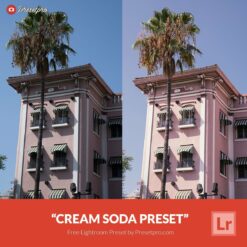 Free-Lightroom-Preset-Cream-Soda-Presetpro.com.jpg